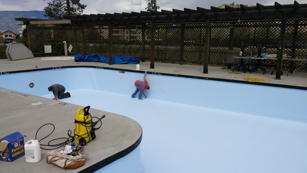 ark-custom-pool-strata-renovation-13